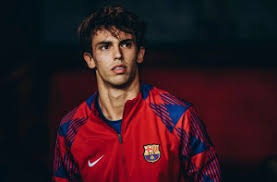 因祸得福？鹈鹕新秀影响的锡安未来